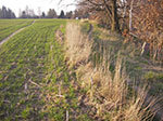IMGP0758.jpg
