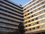 IMGP0766.jpg