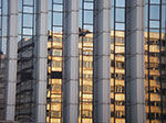 IMGP0768.jpg