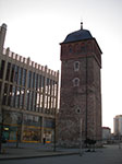 IMGP0773.jpg