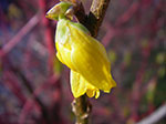 IMGP0789.jpg