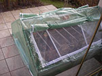 IMGP0795.jpg