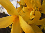 IMGP0831.jpg