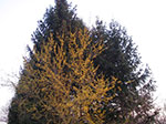 IMGP0860.jpg
