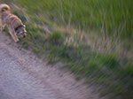 IMGP0864.jpg