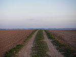 IMGP0881.jpg