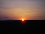 IMGP0884.jpg