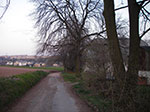IMGP0886.jpg