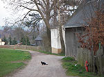 IMGP0887.jpg