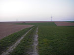 IMGP0897.jpg