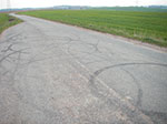 IMGP0917.jpg