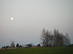 IMGP0919.jpg