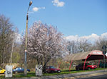 IMGP0930.jpg