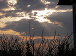 IMGP0938.jpg