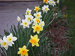 IMGP0939.jpg