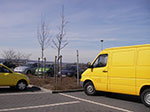 IMGP0975.jpg