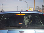 IMGP0985.jpg