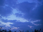IMGP1005.jpg