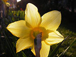 IMGP1024.jpg