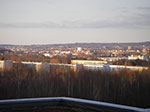 IMGP1036.jpg