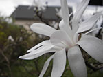 IMGP1128.jpg