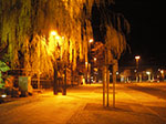 IMGP1133.jpg