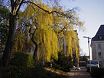 IMGP1159.jpg