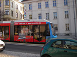 IMGP1161.jpg