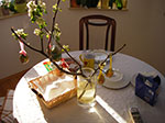 IMGP1170.jpg