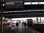 IMGP1172.jpg