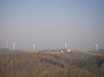 IMGP1176.jpg