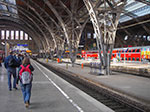 IMGP1181.jpg