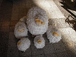 IMGP1184.jpg