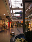 IMGP1187.jpg