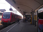 IMGP1197.jpg