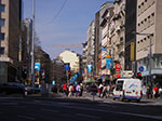 IMGP1243.jpg