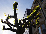 IMGP1264.jpg