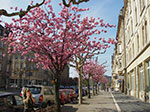 IMGP1268.jpg