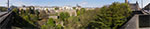 IMGP1283-pan.jpg