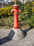 IMGP1309.jpg