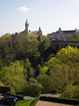 IMGP1311.jpg