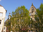 IMGP1375.jpg