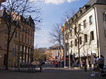 IMGP1385.jpg