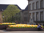 IMGP1398.jpg