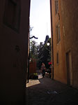 IMGP1407.jpg