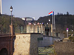 IMGP1415.jpg