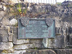 IMGP1436.jpg