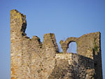 IMGP1437.jpg