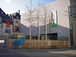 IMGP1445.jpg