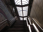 IMGP1555.jpg